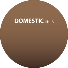 Domestic līnija